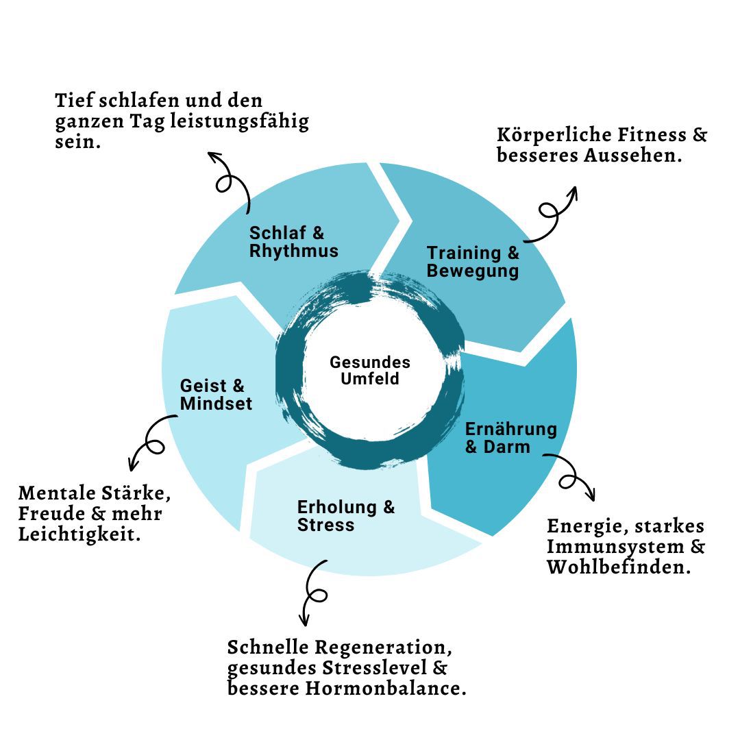 Pareto_Health_Challenge_Konzept_FFFFFF