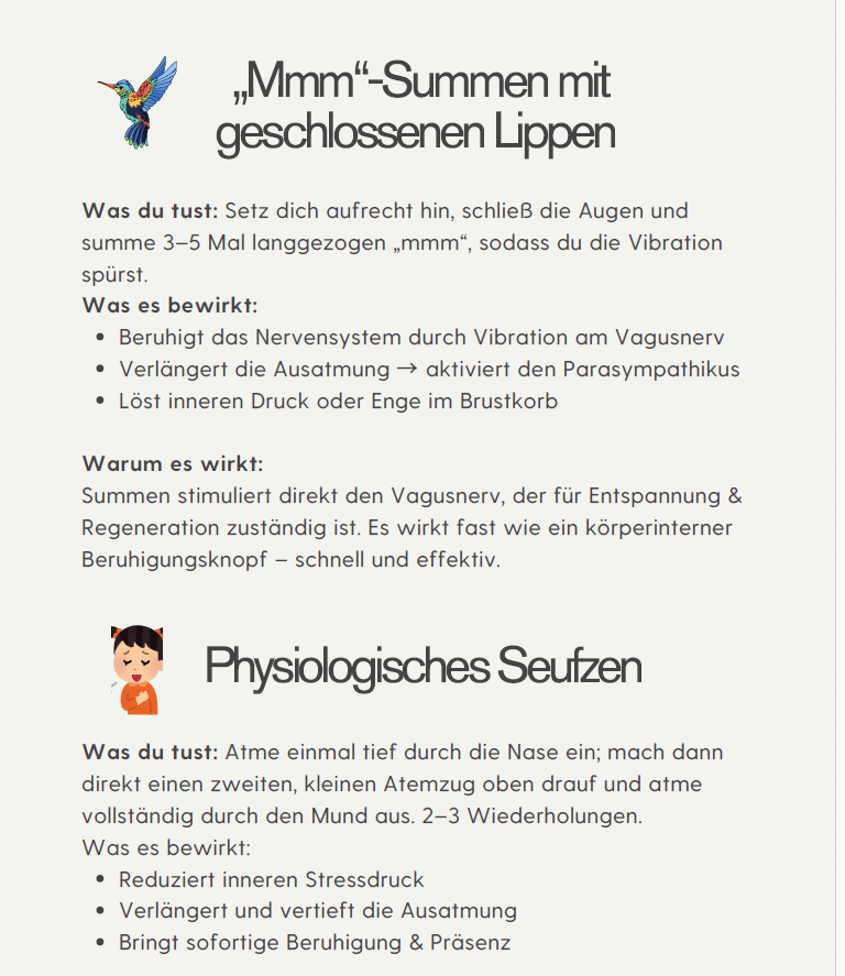 Screenshot_Anleitung_Spickzettel