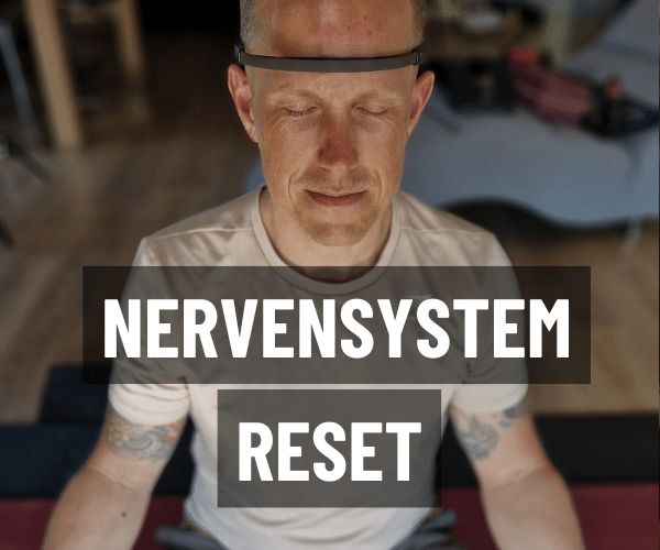 Reset LP Cover + Mockup