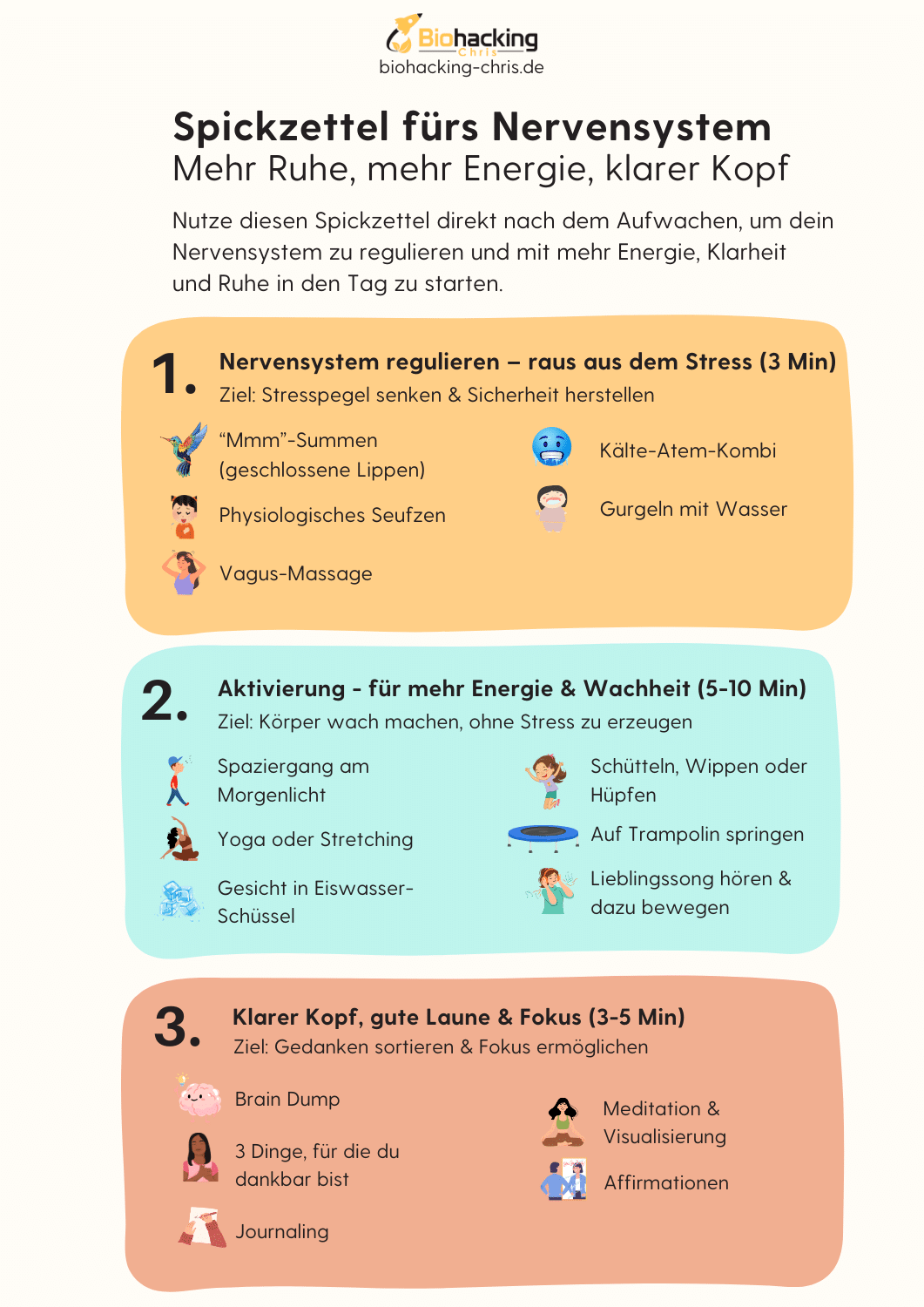 Spickzettel fürs Nervensystem_thumbnail