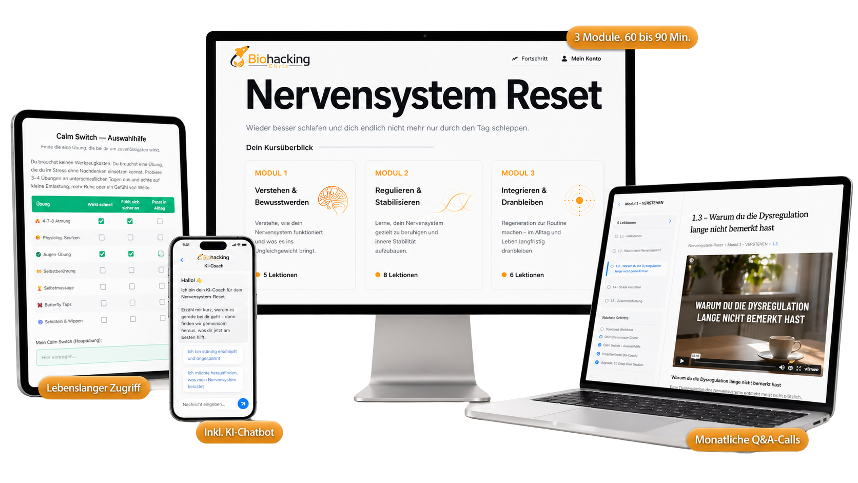 Mockup NS Reset NEU