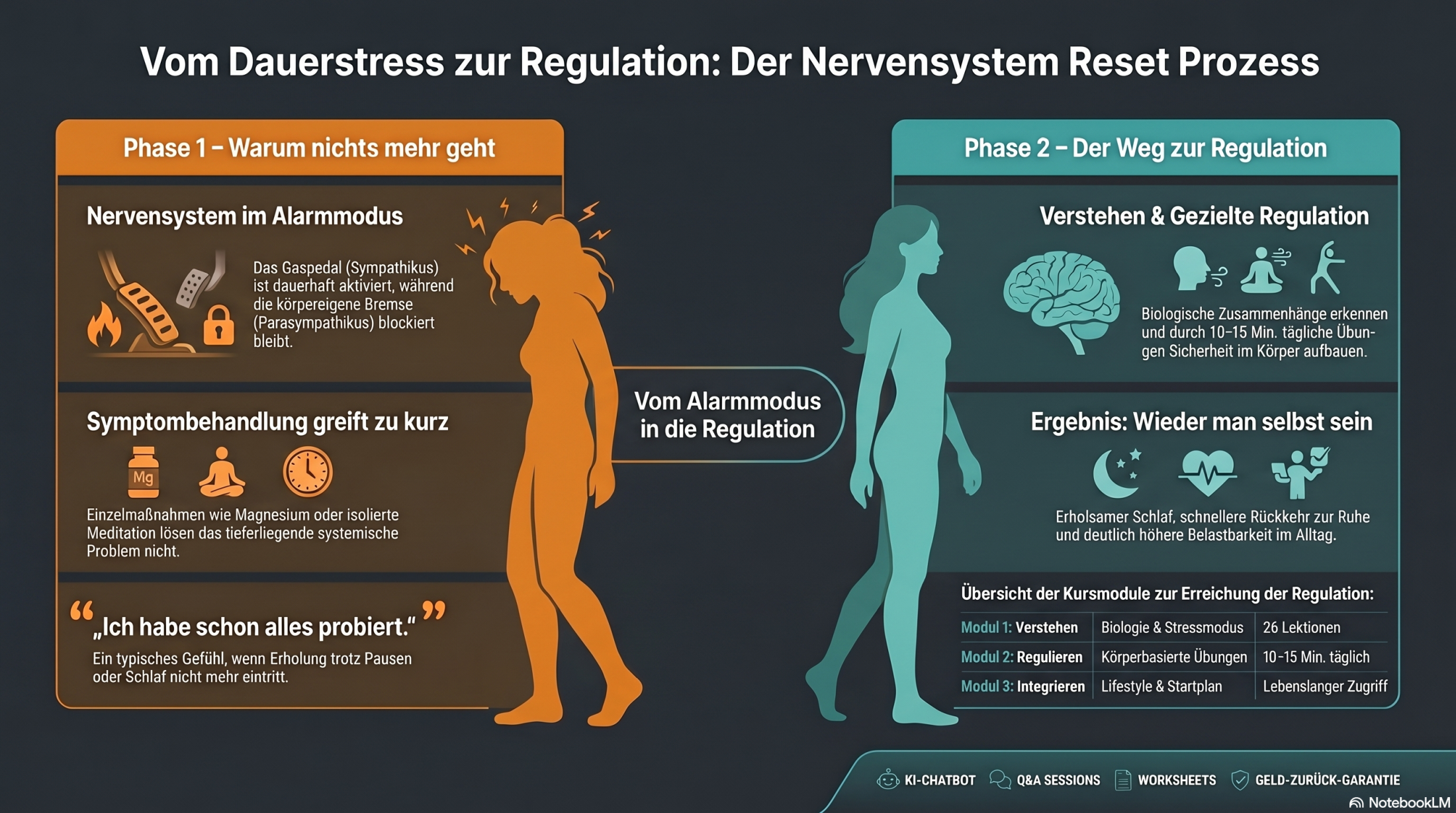 System_Nervensystem Reset_kleiner